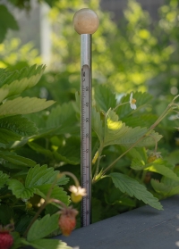 Термометр для измерения температуры почвы GT230 Esschert Design заказать в интернет-магазине Consta Garden